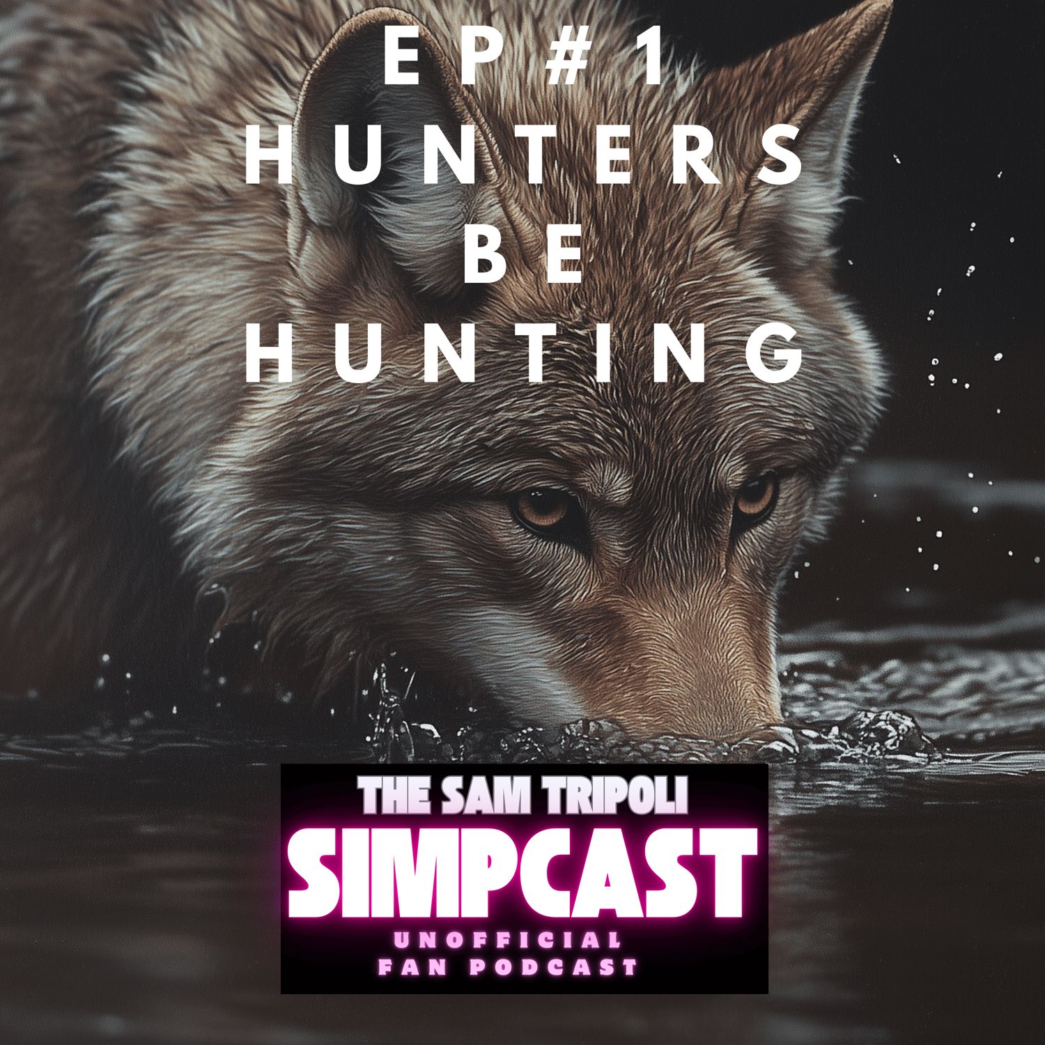 Episode 1 - Hunters Be Hunting Artwork